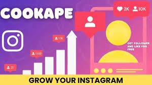 Cookape: Your Ultimate Guide toInstagram Growth Is Here!